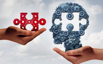 Formation professionnelle : comment les entreprises peuvent booster leur chiffre d&rsquo;affaires grâce aux formations internes